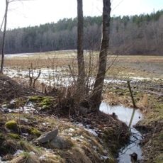 Björksättrahalvön