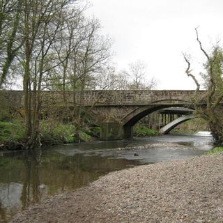 Old Bridge, Larbert
