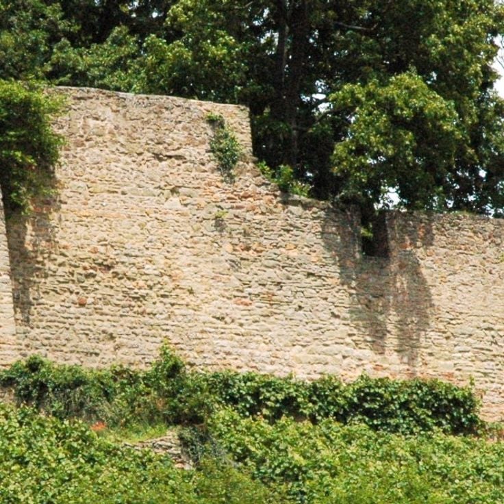 Wolfsteiner Burgen