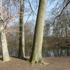 Tiroler Weiher