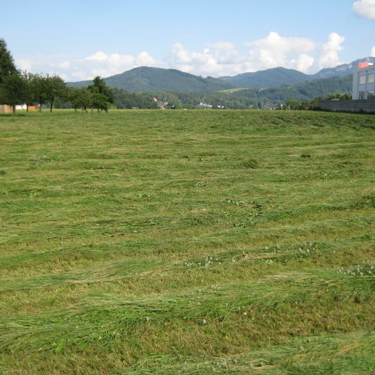 Hügelgräberfeld Ort-Gmunden