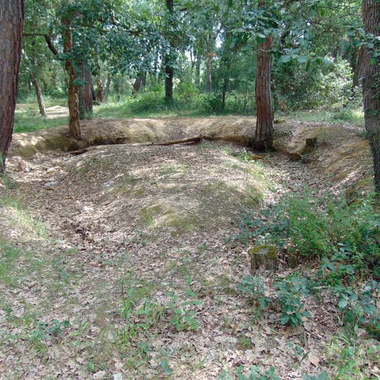 Trinxeres del bosc de Can Puig