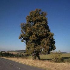 Kříž jihovýchodně od Skašova