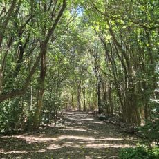 Reserva natural urbana de Morón
