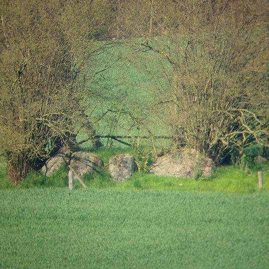 Großsteingrab Boitin