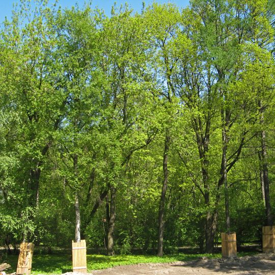 Сад с прудом при главном здании Академии