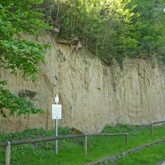 Aufschluss im Löss "Freienstein"