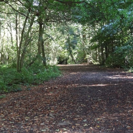High Elms Country Park