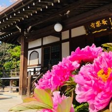 安楽寺
