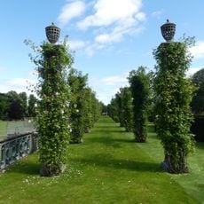 Railing to north side of Middle Terrace
