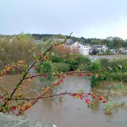Ellon