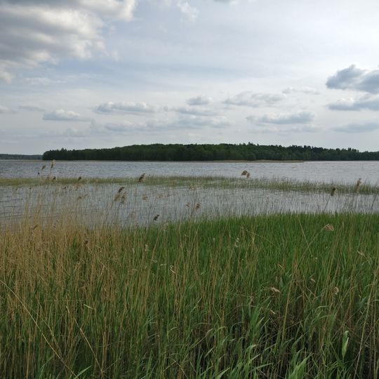 Moricsala Nature Reserve