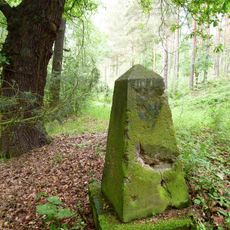 Sächsisch-Preußischer Grenzstein: Pilar Nr. 9 (linkselbisch)