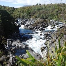 Mahuia Rapid
