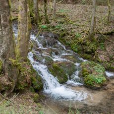 LSG Rohrenstädter Bachtal