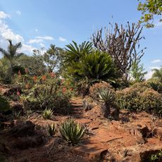 Ewanrigg Botanical Gardens