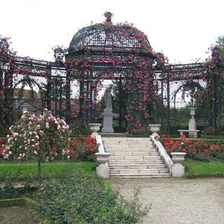 Rosengarten von Val-de-Marne