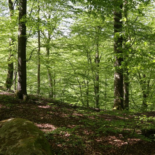 Nackarps naturreservat