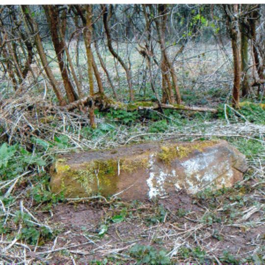 Milestone - So 498217