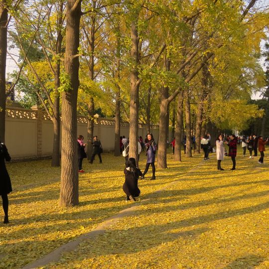 Ganjiakou Subdistrict