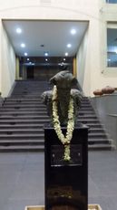 Indian Council for Cultural Relations