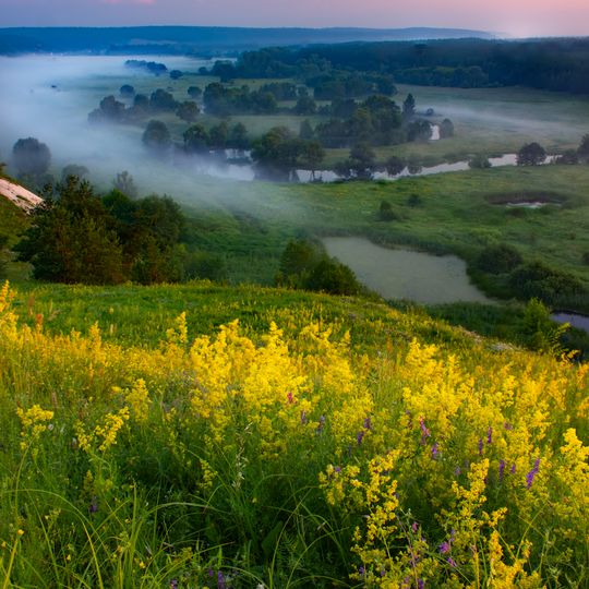 Великий Ліс