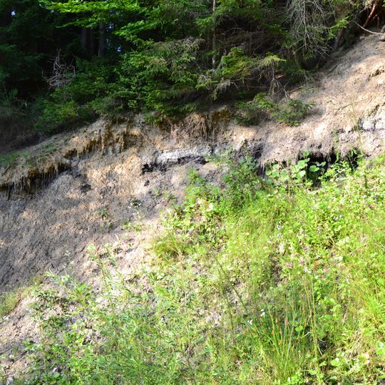 Kiesgrube mit Schieferkohle am Uhlenberg bei Lindach