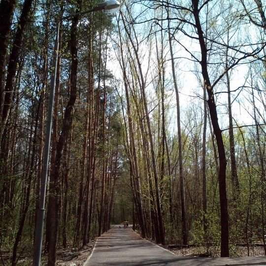 Nepeytsevsky Arboretum