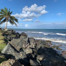 Playa del Dorado