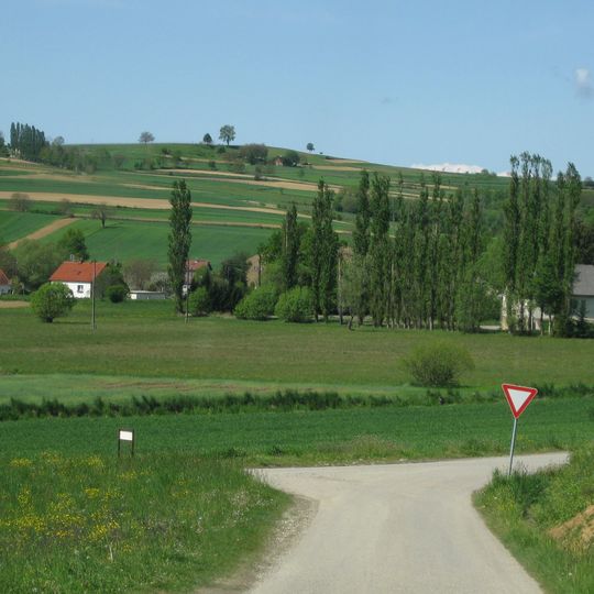 Municipality of Rogašovci