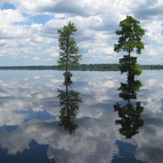 Great Dismal Swamp National Wildlife Refuge