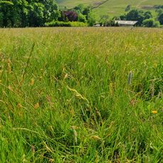 Mellor's Gardens