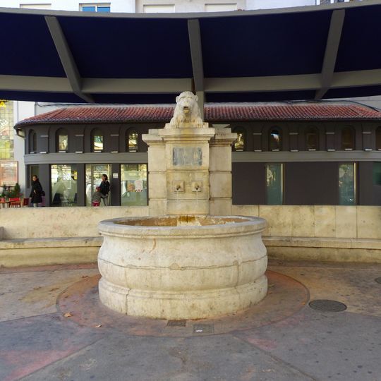 Fountain of the Lion
