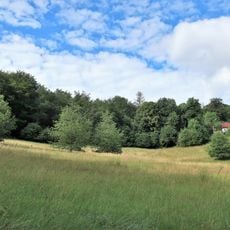 Feuchtwiese Buntebach