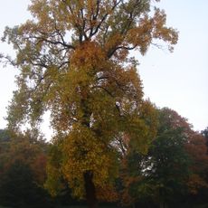 Oude Warande