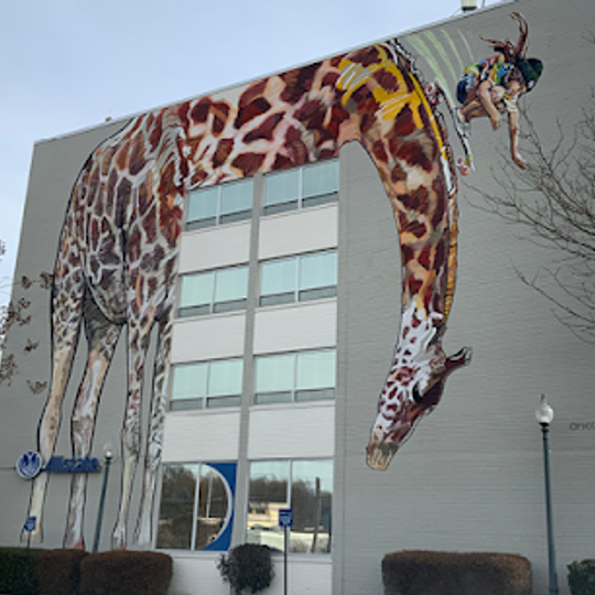 Girl skateboarding down the neck of a giraffe. This five-story high giraffe was painted with just two paintbrushes.  Commissioned by John Blick, owner of The Blick Building. The artist's inspiration came from "Love over Fear.'