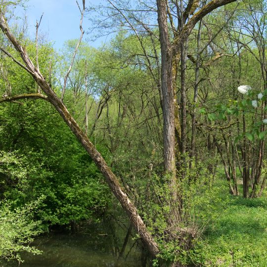 Itztal und Effeldertal bei Weißenbrunn vorm Wald