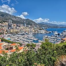Monte Carlo Viewpoint