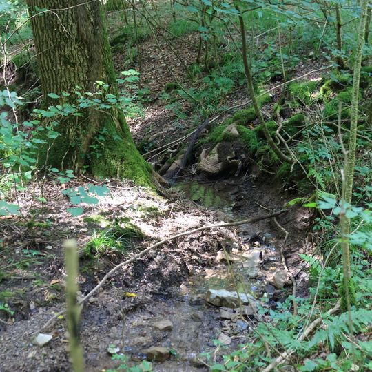 Feuchtgebiet "Brandisklingenwiesen"