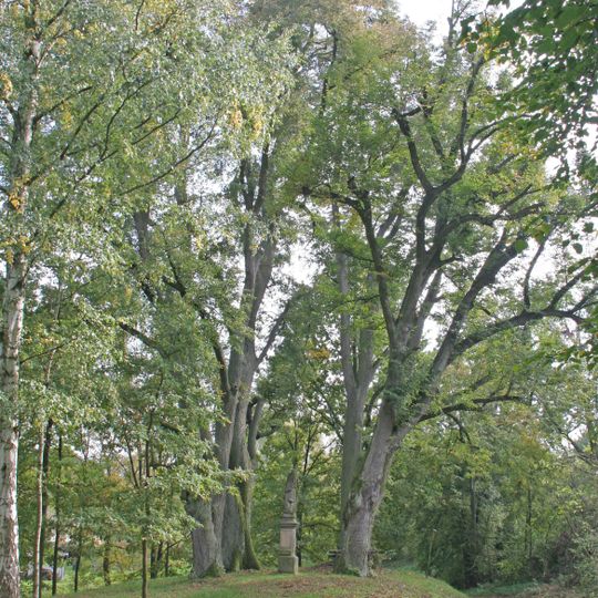 Svatogothardské lípy