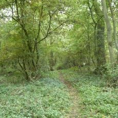 Eye Brook Valley Woods
