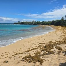 Shoys Beach