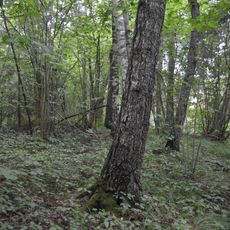 Fridrihovas pilskalns