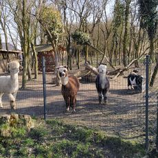 Mini Zoo w Raszkowie