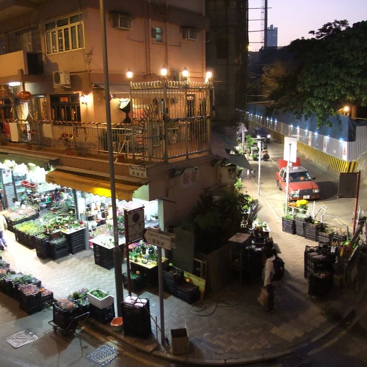 Mercado de Flores Mong Kok