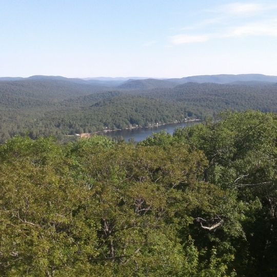 Shaker Mountain Wild Forest