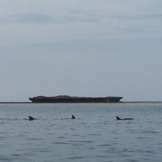 Kisite-Mpunguti Marine National Park