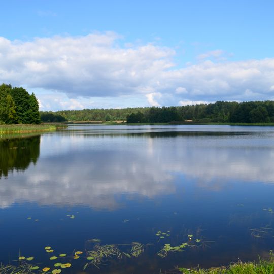 Masališkių tvenkinys