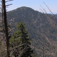 Mount Chapman