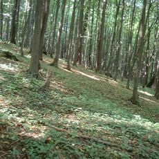 Nature Reserve Ostrężnik